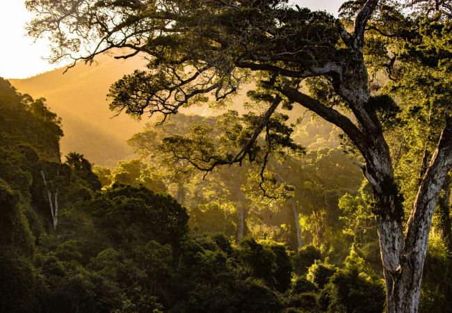 Garden Route South Africa