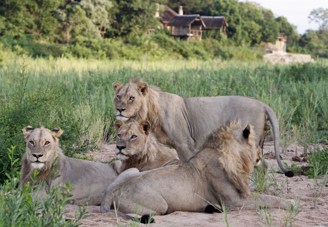 Kruger Park