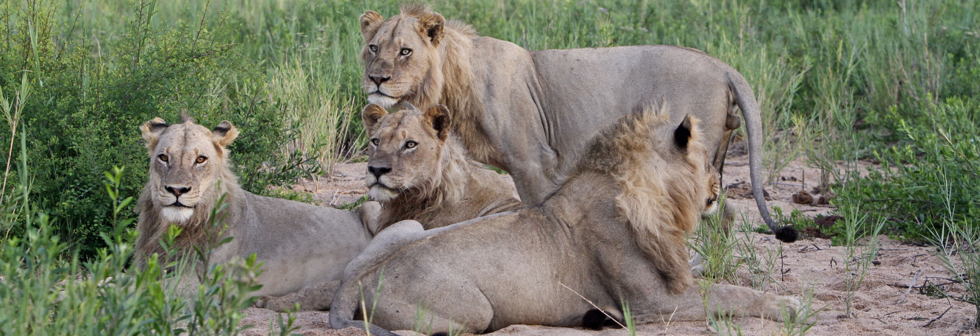 Kruger National Park