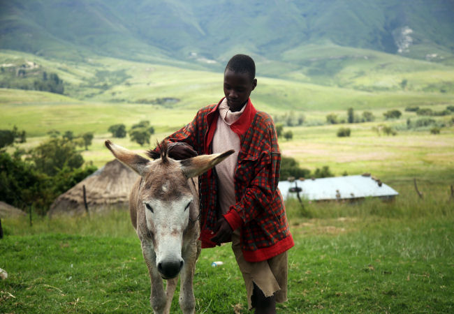Lesotho