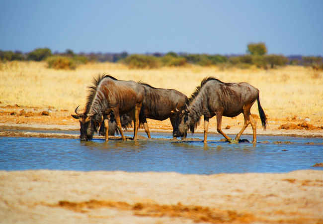 Botswana